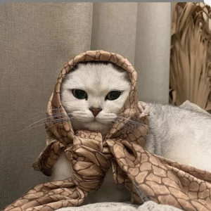 عکس میم هایه حق پارت ۲