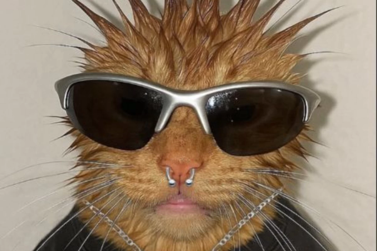 عکس میم هایه حق پارت ۲