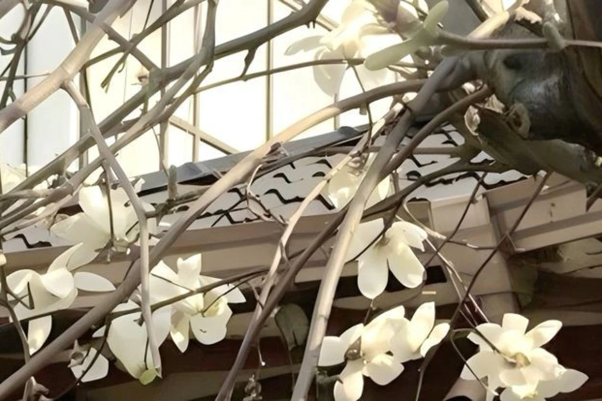 عکس 🥞 چگونه عکس y2k درست کنیم ! (آسان ترین راه)