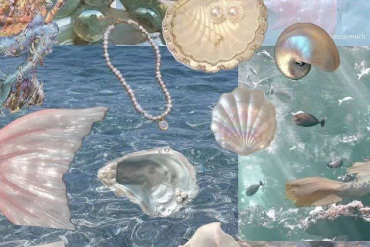 عکس 🌺: توییت ته گالری!