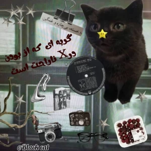 عکس گربه‌ای که از بودن در X ناراحت است