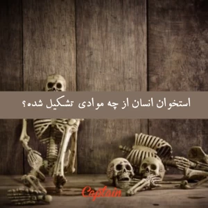 عکس استخوان انسان از چه موادی تشکیل شده؟