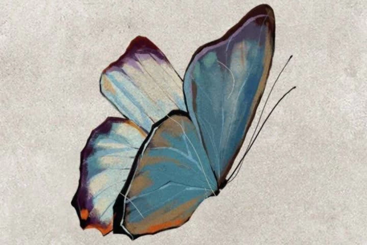 عکس درمورد کاربر