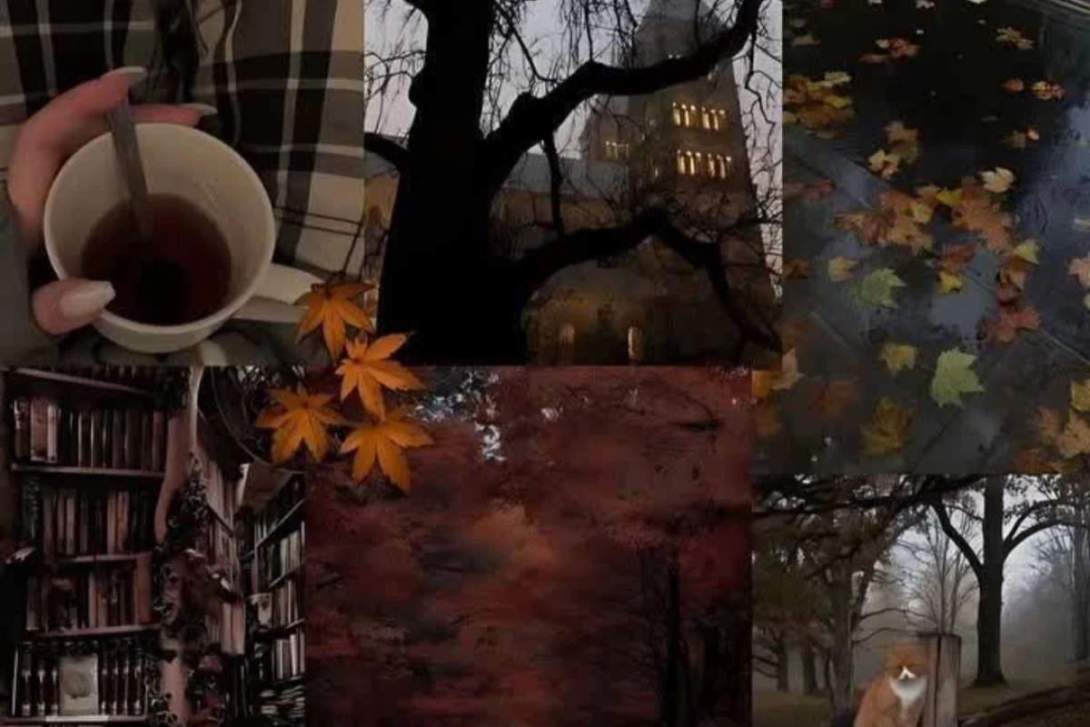 عکس تست زنی