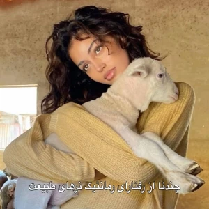 عکس چند رفتار رامانتیک حیوانات در طبیعت