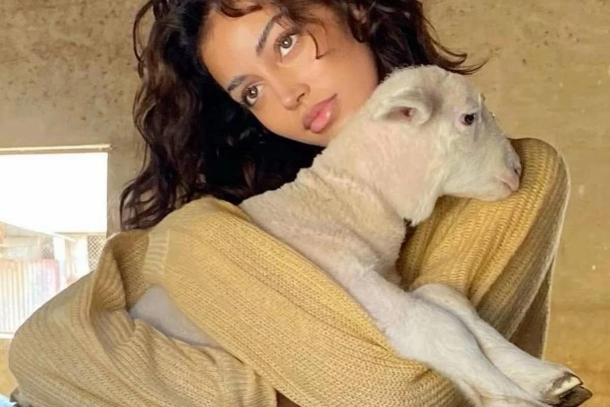 عکس چند رفتار رامانتیک حیوانات در طبیعت