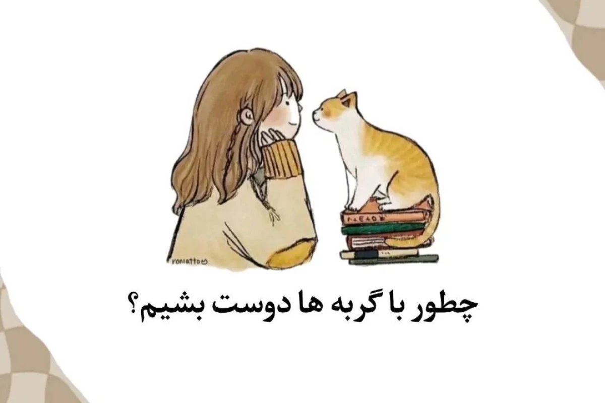 عکس چطور با گربه ها دوست بشیم؟