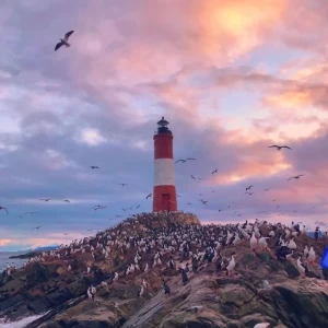 عکس میم پارت 1