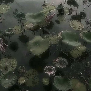 عکس چگونه درس های روی هم مانده ی خود را با موفقیت تمام کنیم