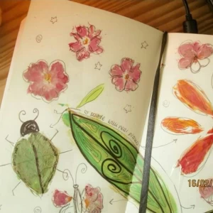 عکس ستاره های کاغدی چین؟