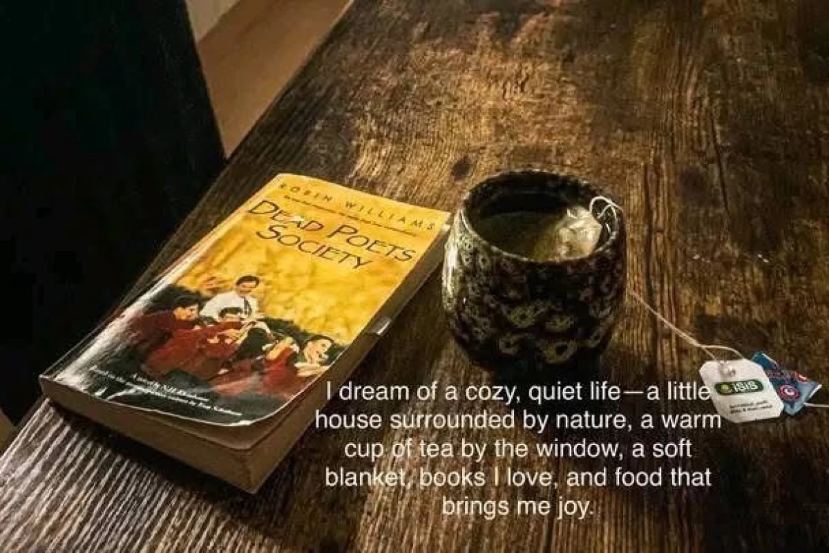 عکس روزی‌با‌مستاجرپلاک۱۲"🐈"