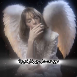 عکس تو نت ملی چی‌کار کنیم؟