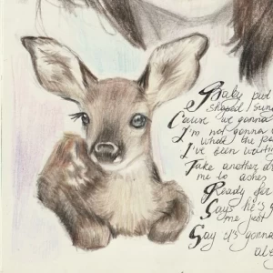 عکس 𝗮𝗯𝗼𝘂𝘁 𝗛𝗮𝗿𝗶𝗻