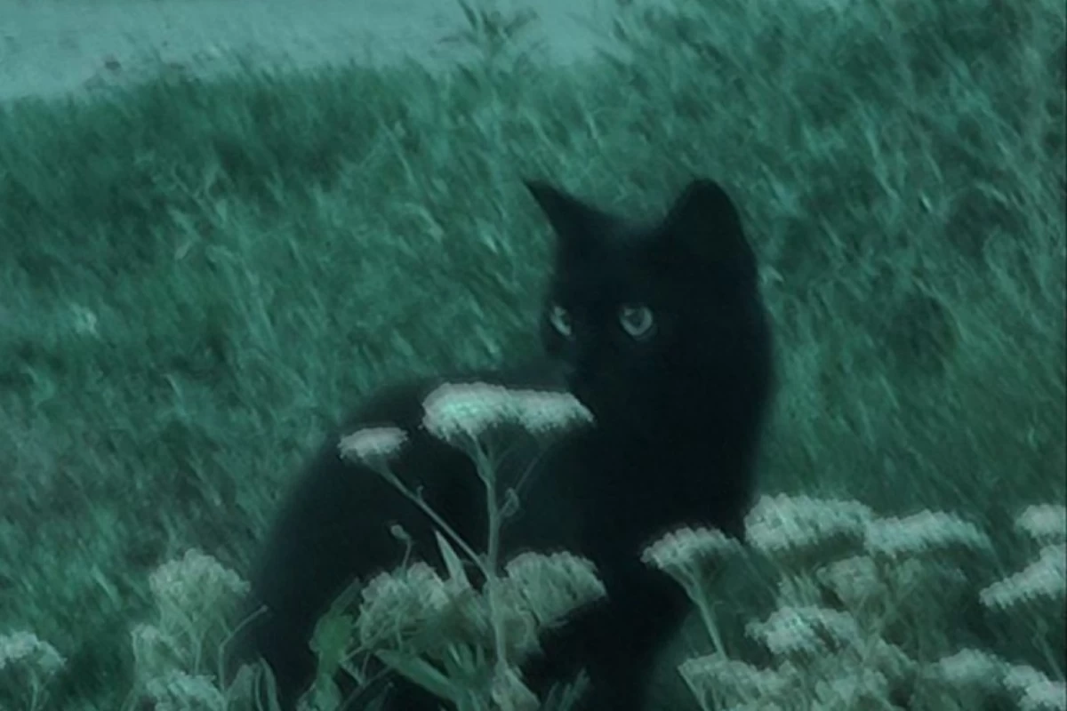 عکس بیو ی من