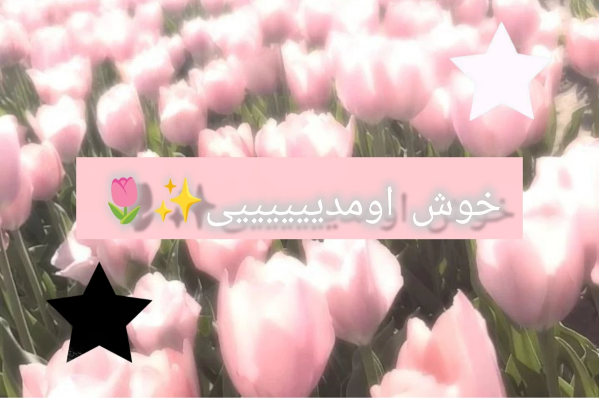 عکس _ آره من شیرازیم!