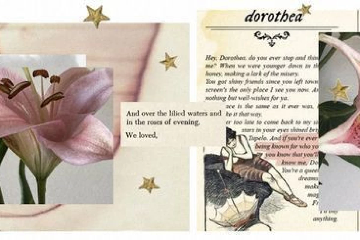 عکس 🌤:درونگرا بودن تو تستچی اینطوریه که...