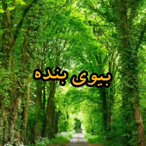 عکس بیوگرافی بنده