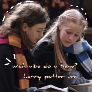 وایب کدوم کرکتر هری پاتر رو میدی؟ p2