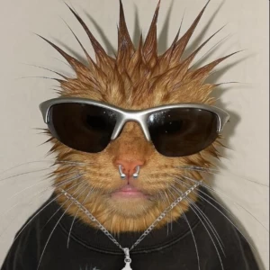 عکس میم هایه حق پارت ۳