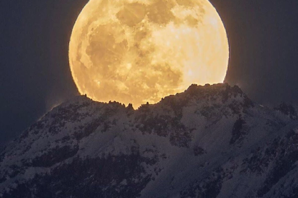 عکس بیوگرافی