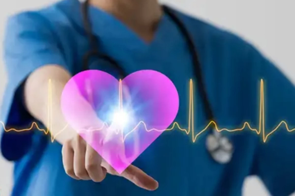 عکس همه چیز درباره قلب انسان