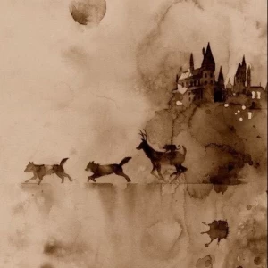 عکس ونوس بلك …؟