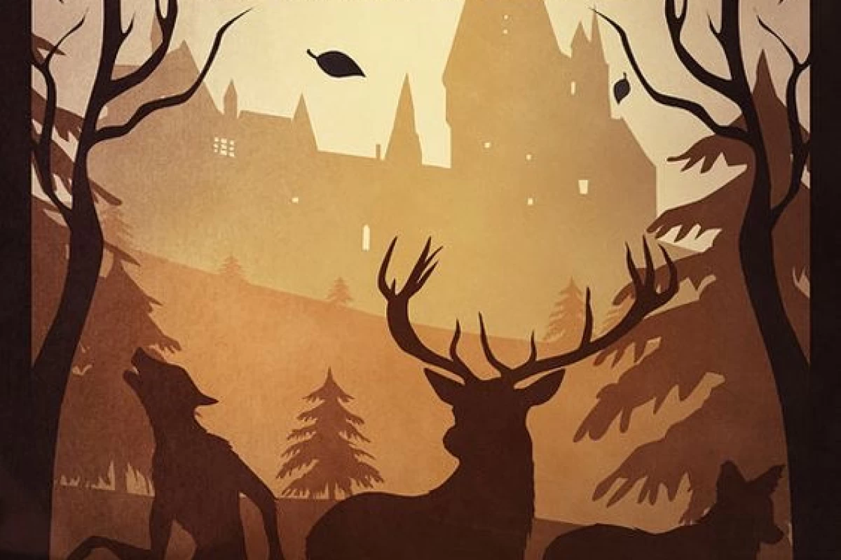 عکس ونوس بلك …؟