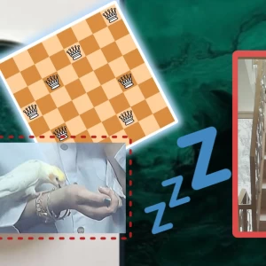 دانشجو و یکشنبه هاش👀