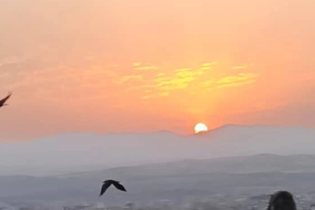 عکس دانشجو و یکشنبه هاش👀