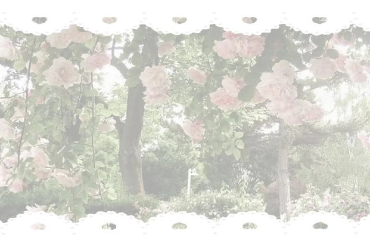 عکس پلی لیست برای چیل کردن؟؛