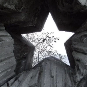 عکس بهم بگو  X !