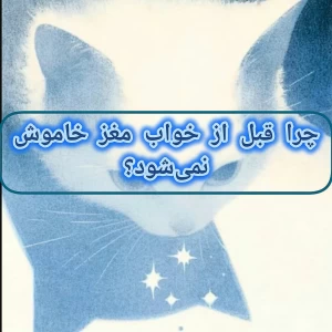 عکس چرا ذهن قبل از خواب کلی فکر‌ میکنه؟