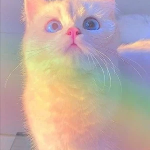 عکس بیوگرافی من