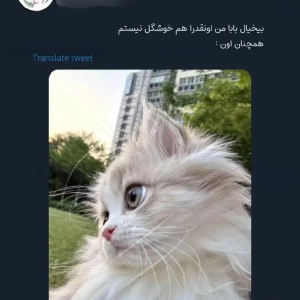 عکس مقداری توییت با طعم پیتزا۲۰