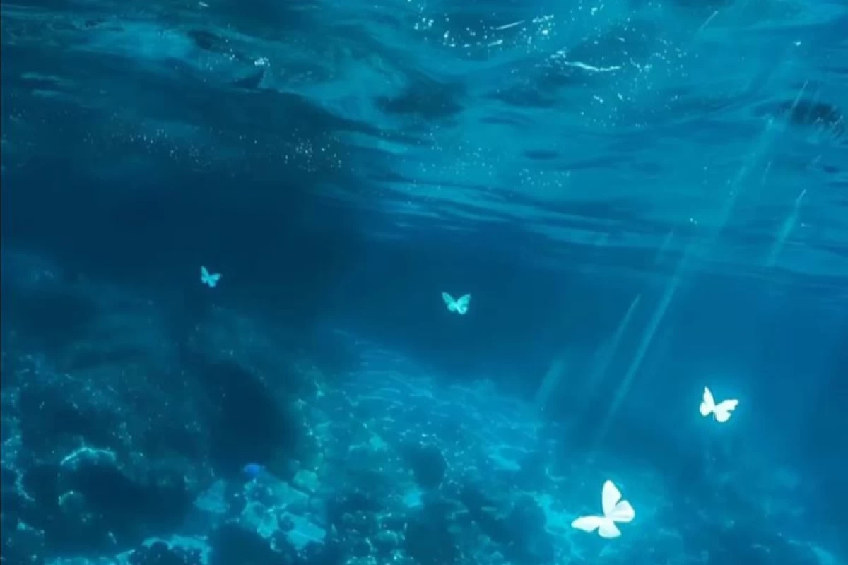 عکس ❄️: "Anchor Ice" چیست؟