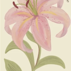 عکس با پرنسس آشنا شو