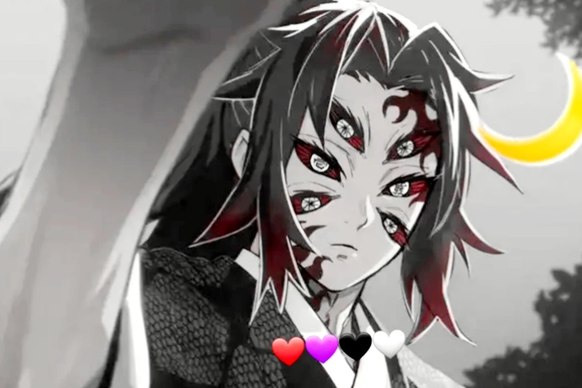 عکس فکت از کوکوشیبو demon ماه اول