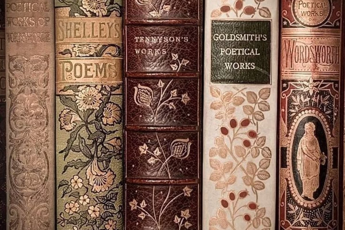 عکس داستان کوتاه ۲