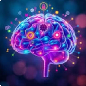 عکس چقدر یادگیریت سریع است؟