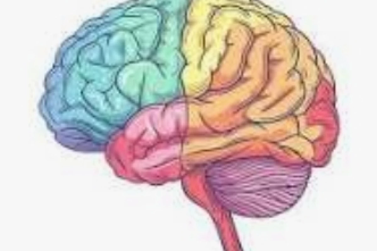 عکس چقدر یادگیریت سریع است؟