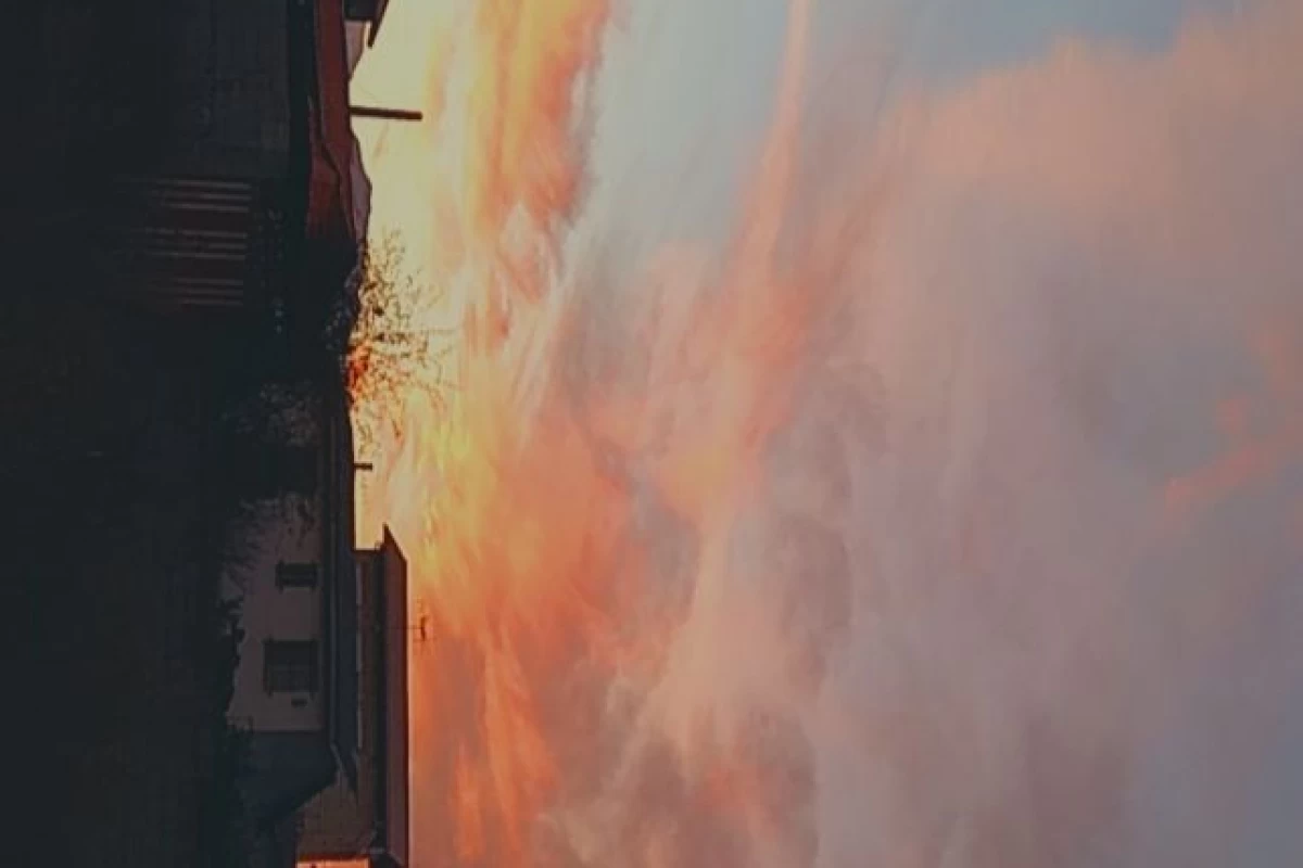 عکس ده اسلاید میم