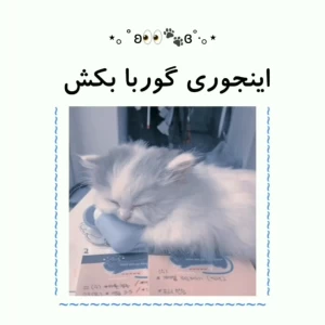 عکس اینجوری گوربا بکش