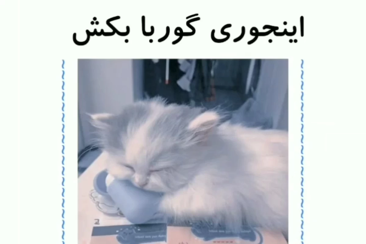 عکس اینجوری گوربا بکش