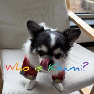 عکس Who is Kkami?