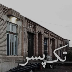 عکس تک‌پسر؛