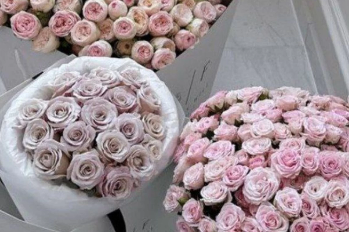 عکس تو یه دختری، باید این کارارو بکنی...