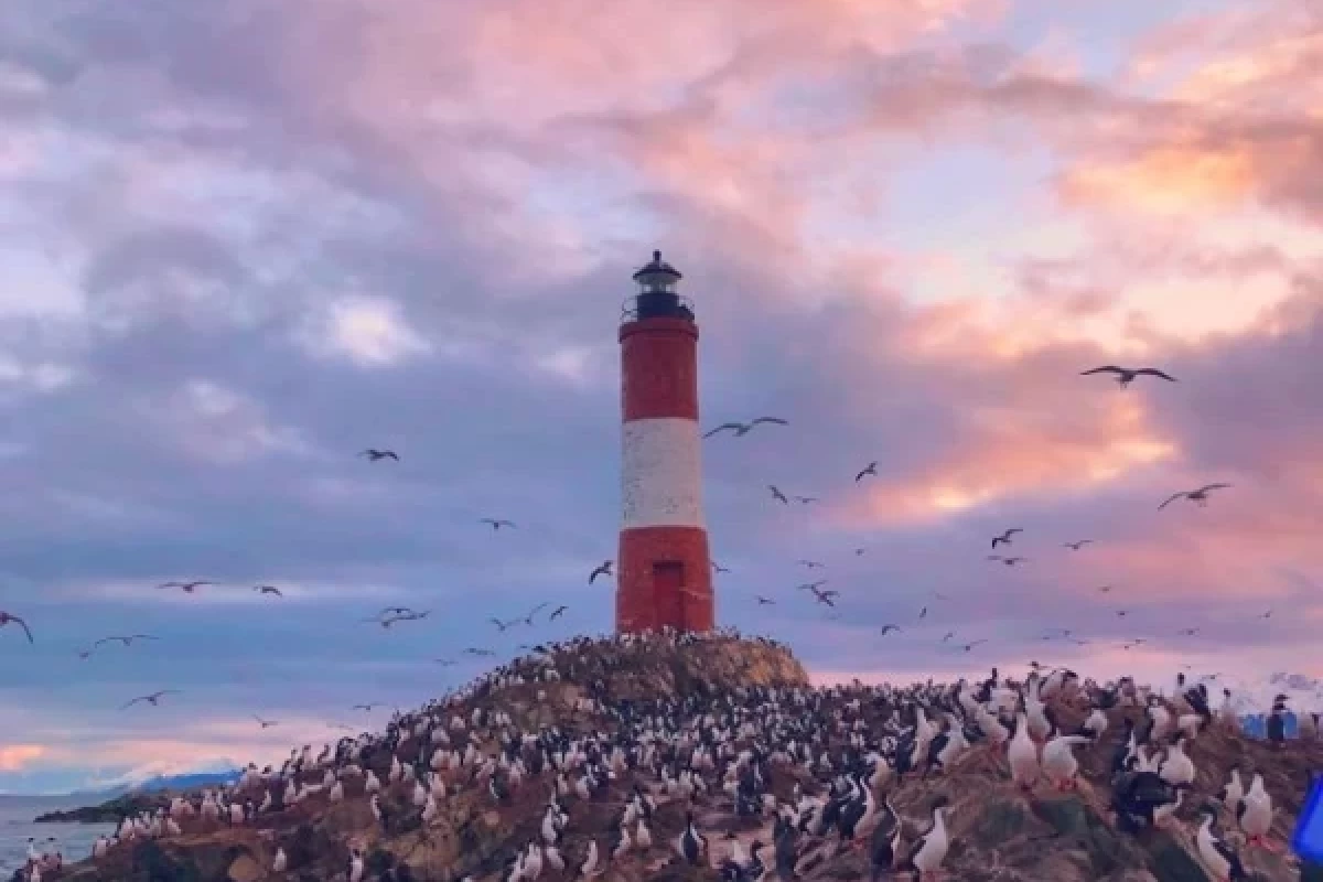 عکس میم - پارت 2