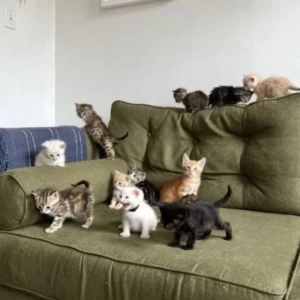 بهترین رمان ها برای شروع