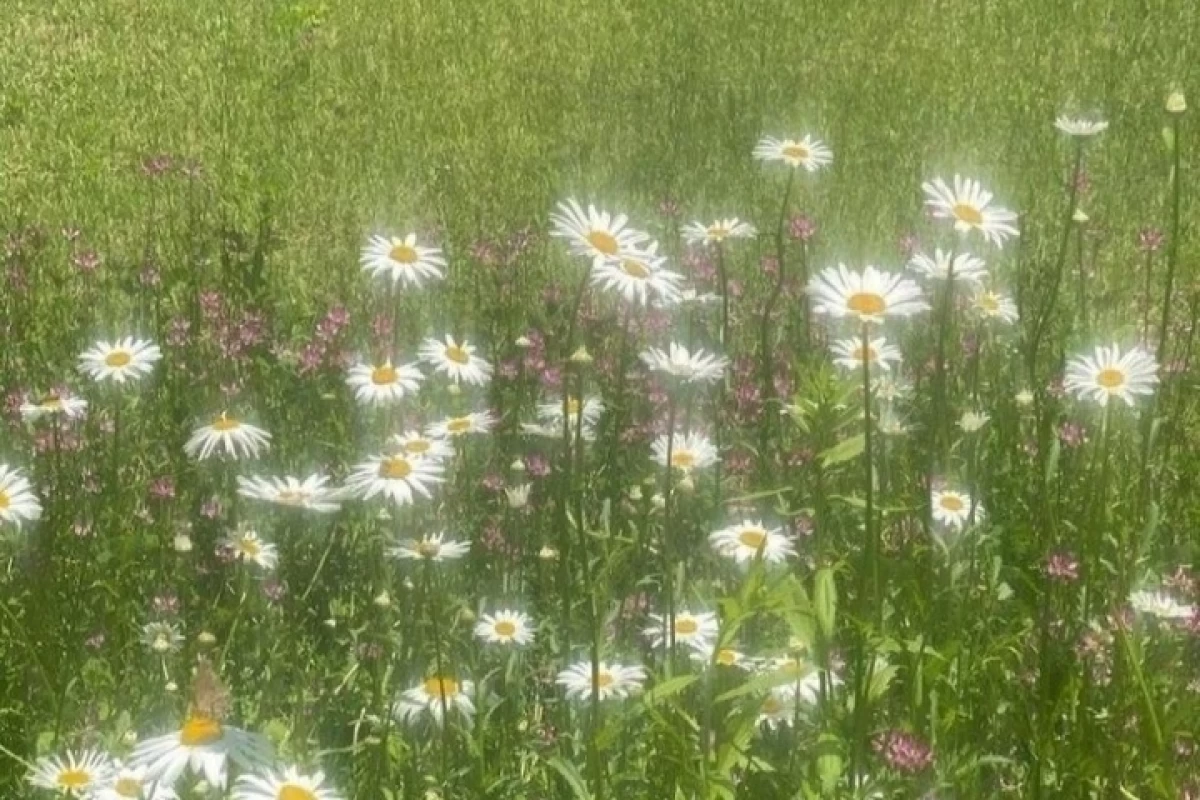 عکس ایده میکاپ کره ای