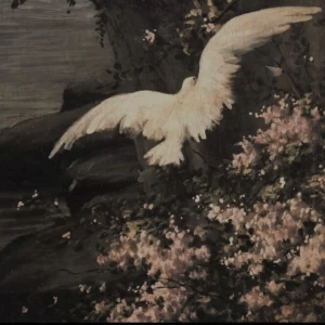 عکس باغ بنفشه ها.